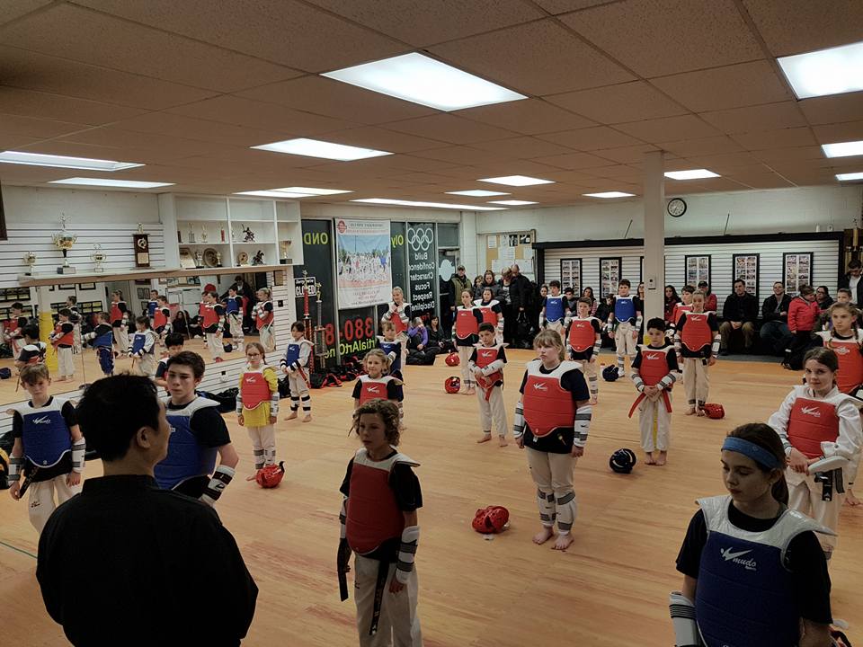 Niagara Taekwondo Sparring Class