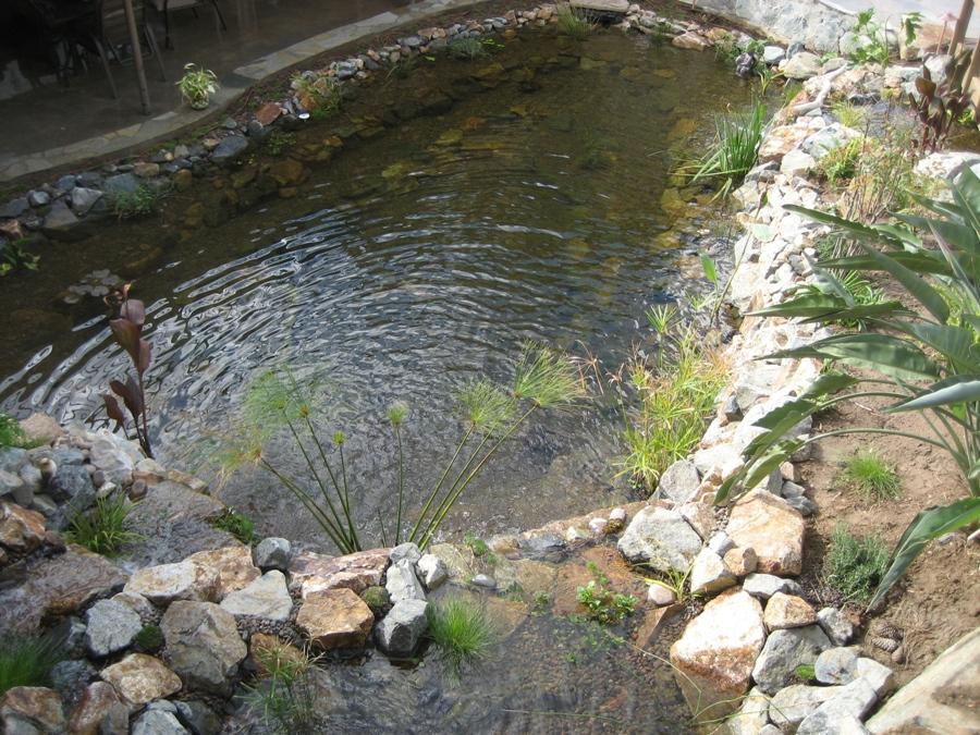 large pond design and construction