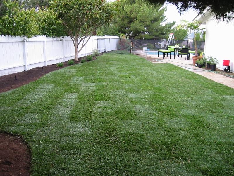 lawn replacement san diego