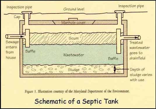 Septic Tank Function