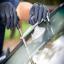 For your free auto glass repair quote call Windshield Fitter Los Angeles, C