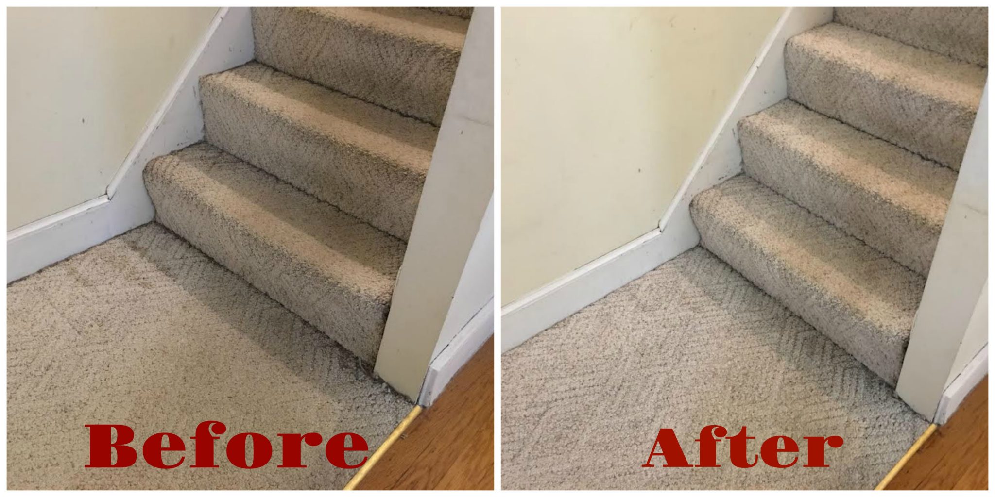 Before and After Premium Carpet Cleaning in Worcester MA