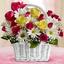 All Occasions Florist Houston