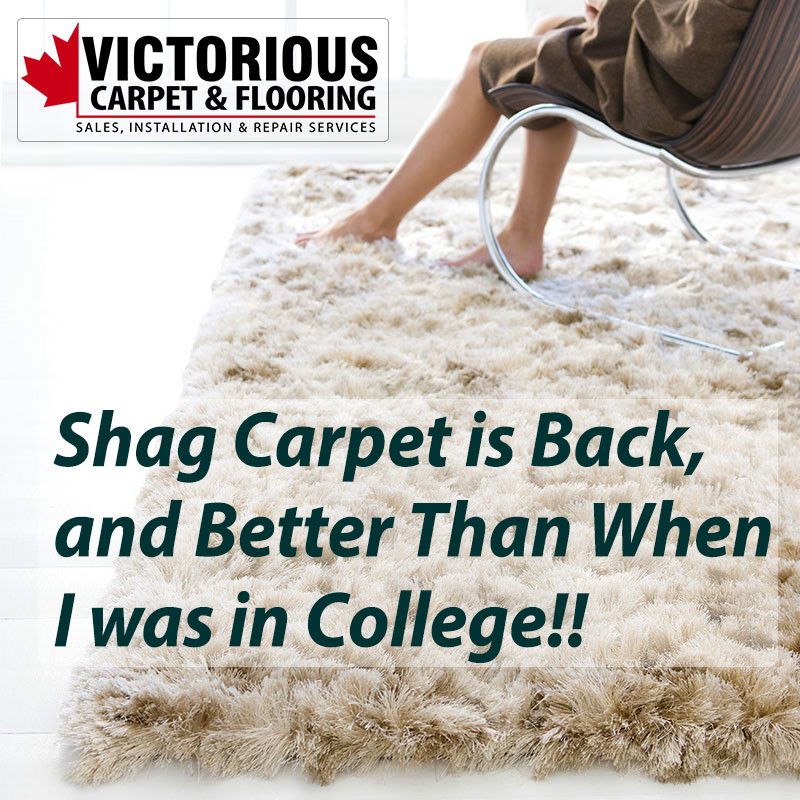 Shag Carpet is Back