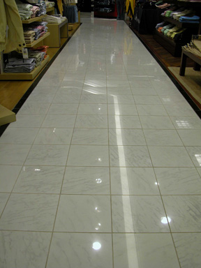 Floor Polishing and Waxing