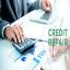 Credit Repair Meridian