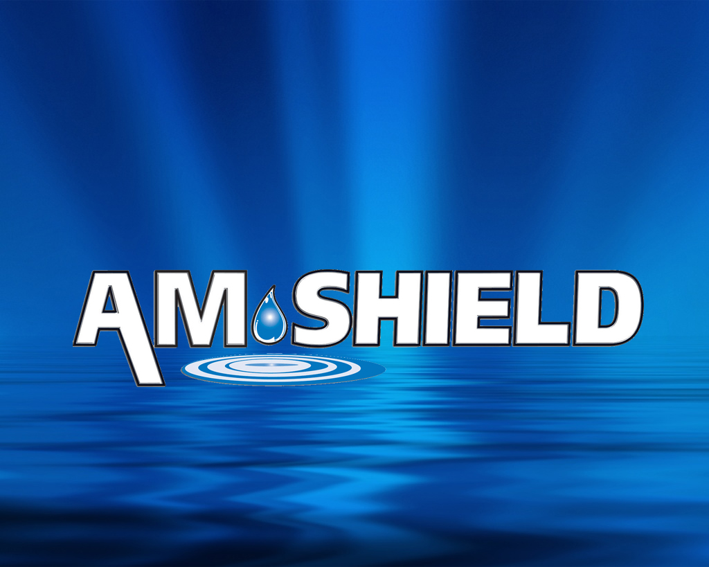 AM Shield Logo