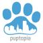 Puptopia NYC dog walkers