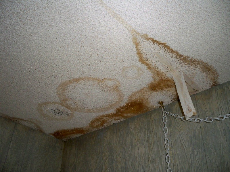 Water damage is favorable for mold growth and other harmful bacteria.
