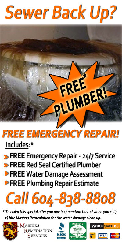 Sewer Back Up? Get a FREE Plumber!