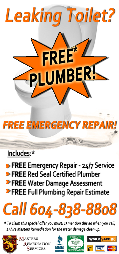 Toilet Repair? Get a Free Plumber!