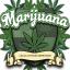 Buy Marijuana Online