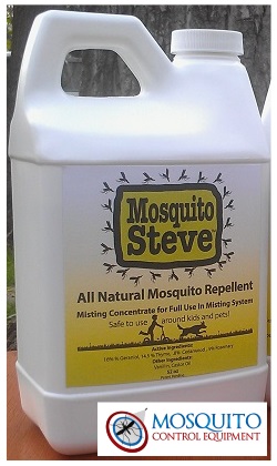 Mosquito Steve