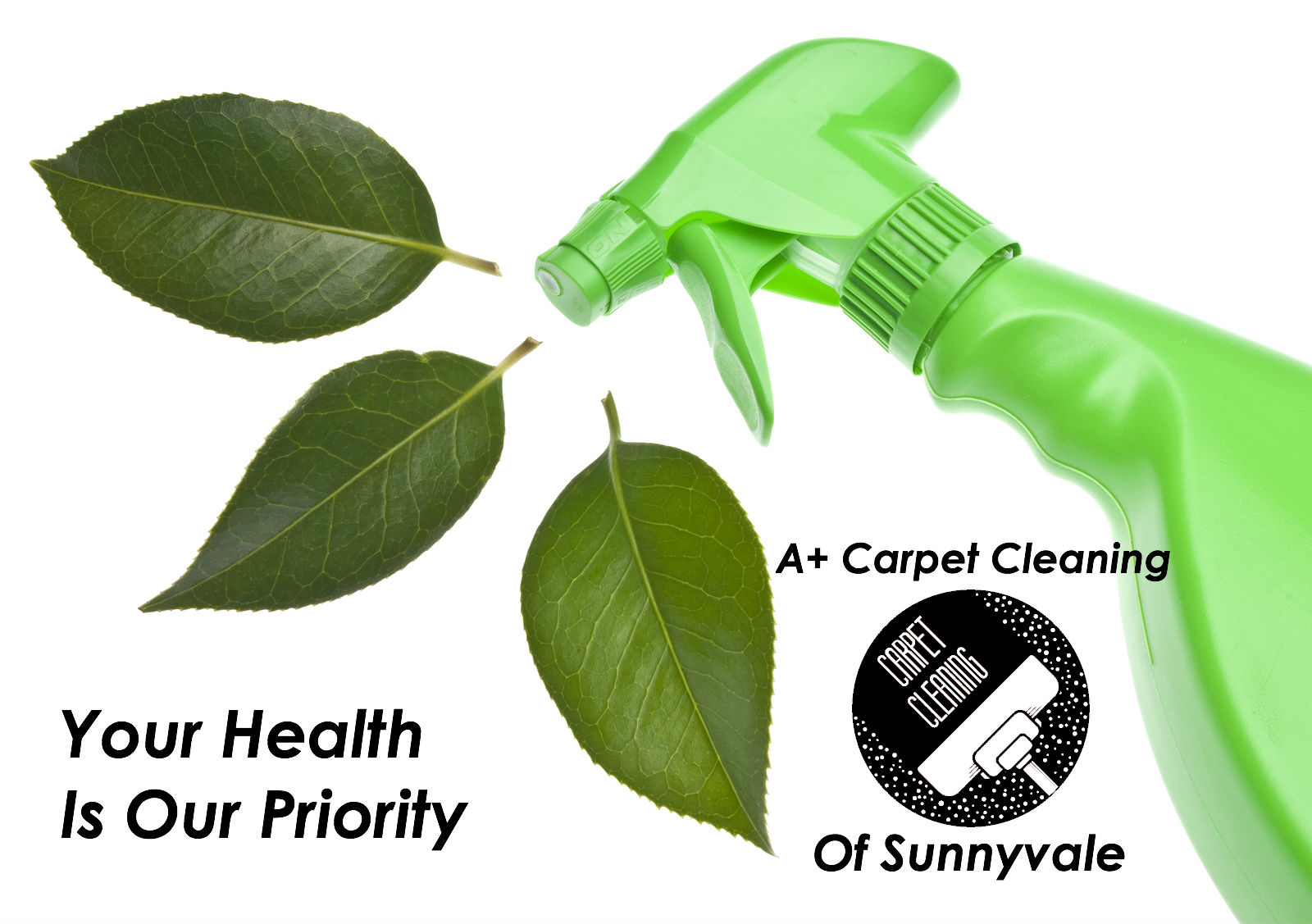 we clean carpets with green products