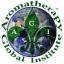 Aromatherapy Global Institute