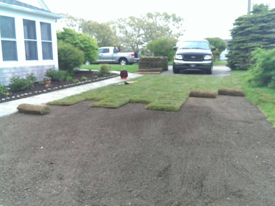Cape Cod lawn sod grass installation