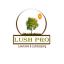 Lush Lawns Start With Lush Pro