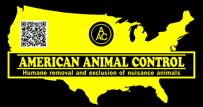 American Animal Control, LLC
