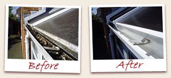 reno gutter cleaning