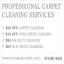 Steam Carpet Cleaning Irving
